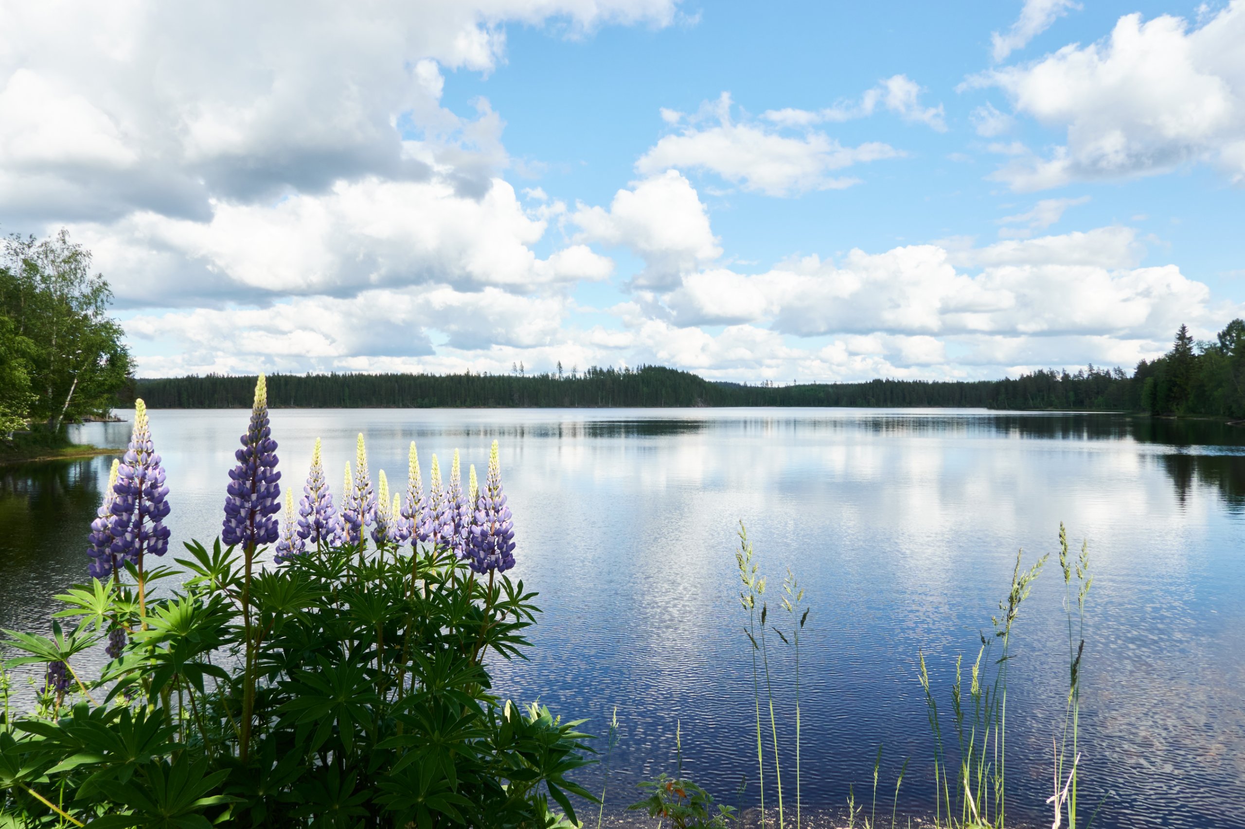 2024 05 24 Sverige 0061